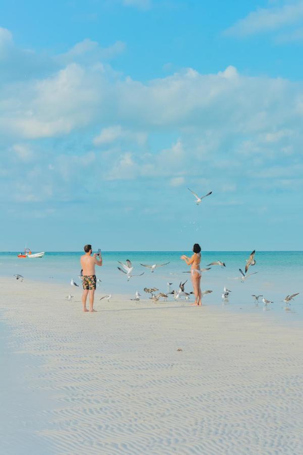 Villas El Encanto Holbox Екстериор снимка
